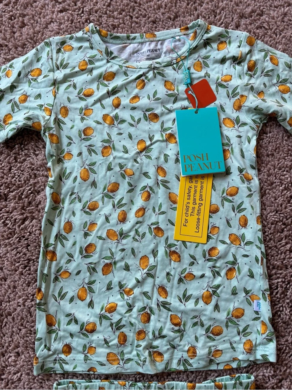 Posh Peanut Pajama Set with Yellow Lemon Print: 4T